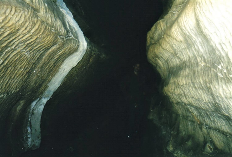 Mammoth Cave National Park